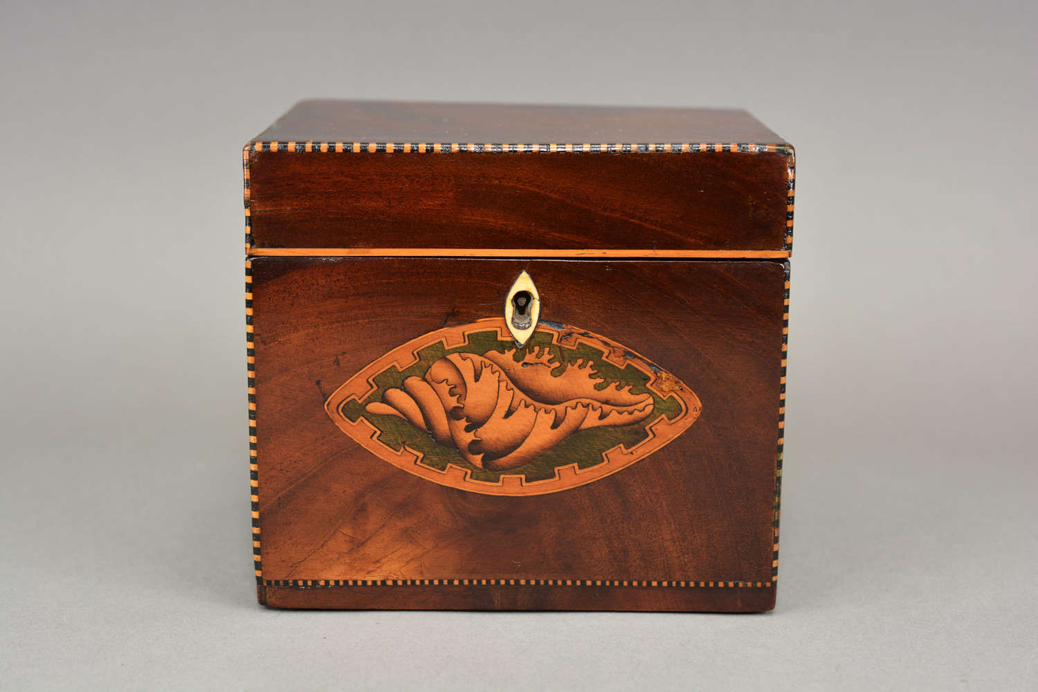 Shell inlaid Georgian mahogany tea caddy circa.1790