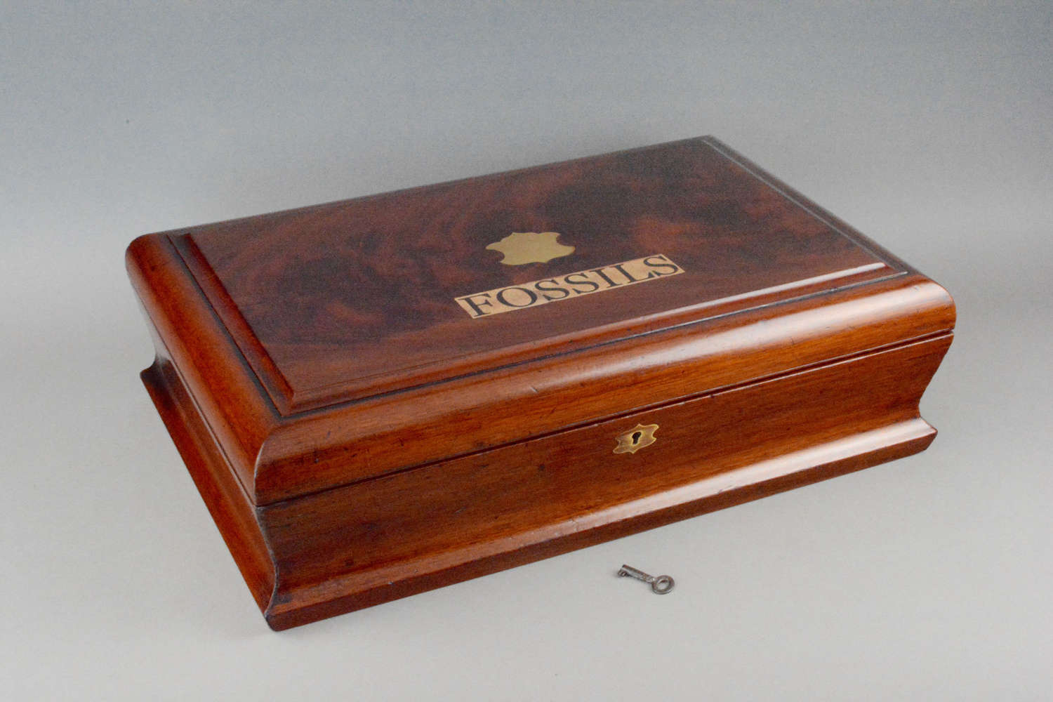 A Victorian flame mahogany boxed fossil collection.