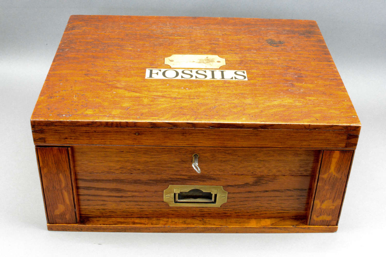 A 19th C oak Fossil collection box and original key