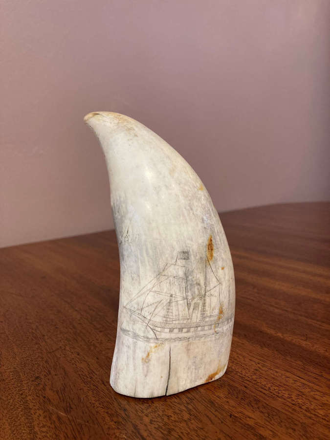 A Scrimshaw sperm whale tooth C1880